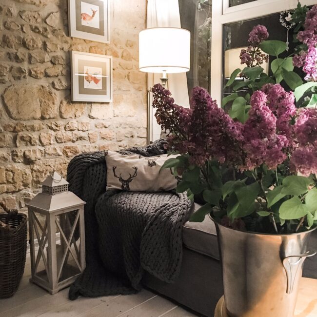 Le Beau Fief - Gite to rent in France